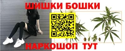 прущие грибы Пугачёв