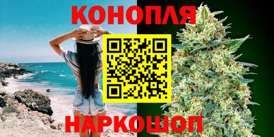 прущие грибы Пугачёв