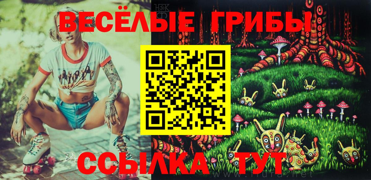 Псилоцибиновые грибы прущие грибы Ростов-на-Дону