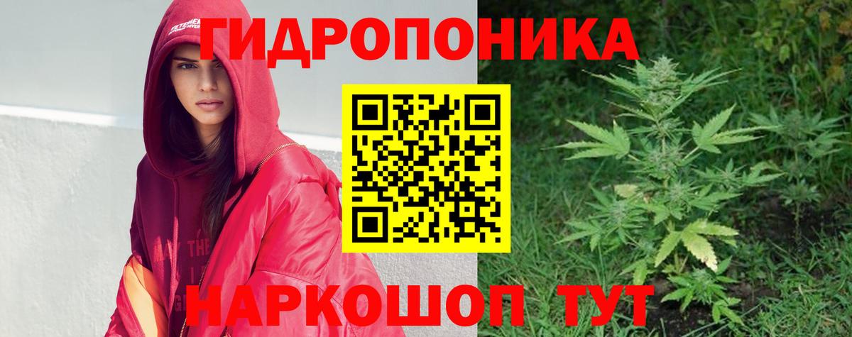 Каннабис конопля Ростов-на-Дону